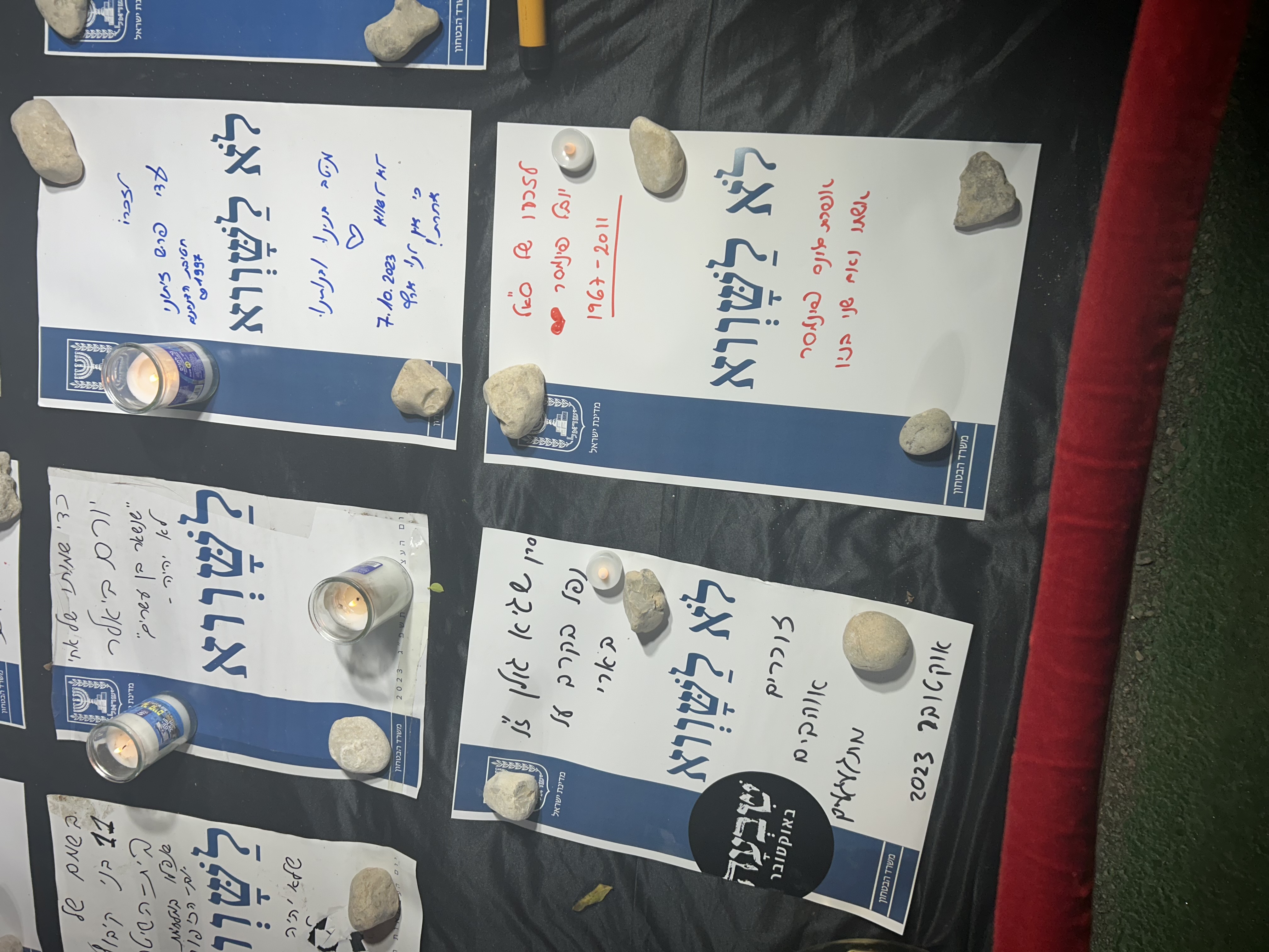 אפרת גינס פינמסר