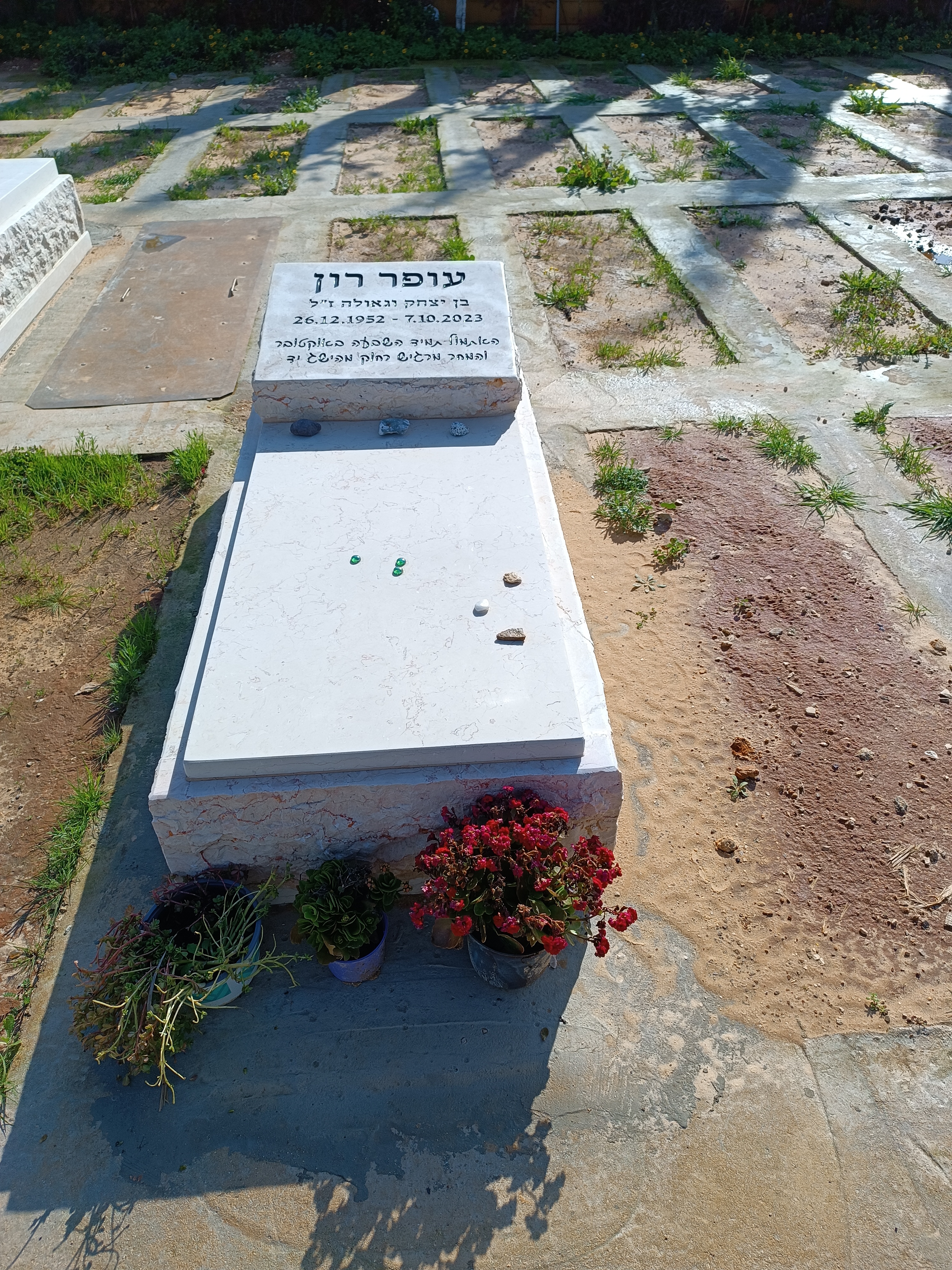 טלי רון וינראוך