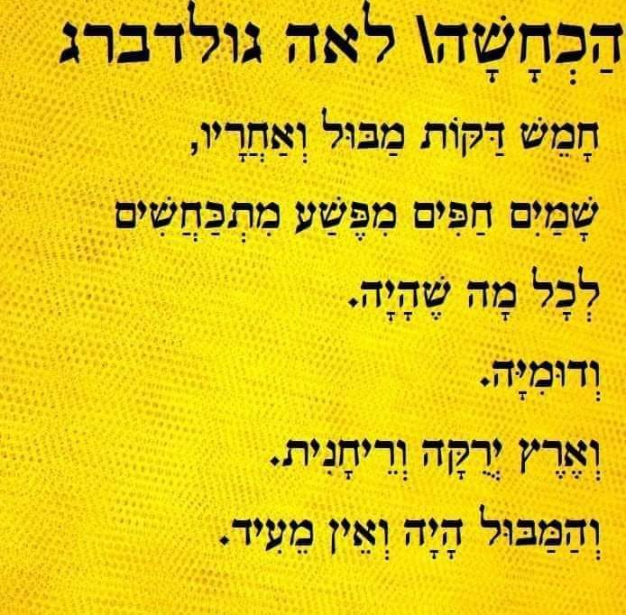 עידית רונן
