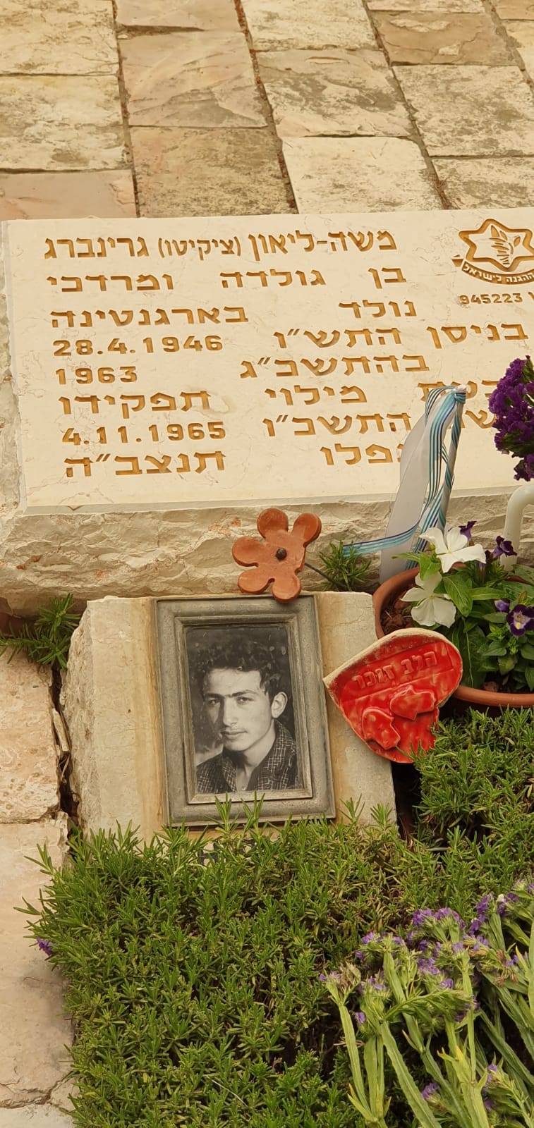 עליזה כוכבי גרינברג